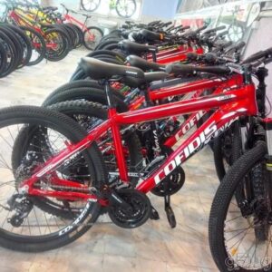 دوچرخه پرسرعت جورواجور تایوانی