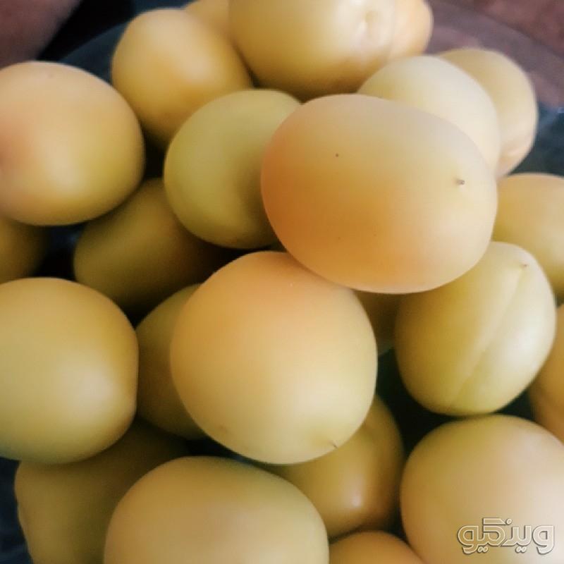 برگه زرد الو و لواشک خانگی درجه ۱