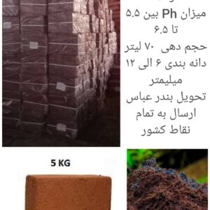 کوکوپیت فاین