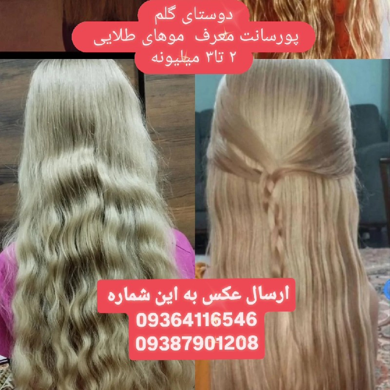 خریدار موی طبیعی صادرکننده